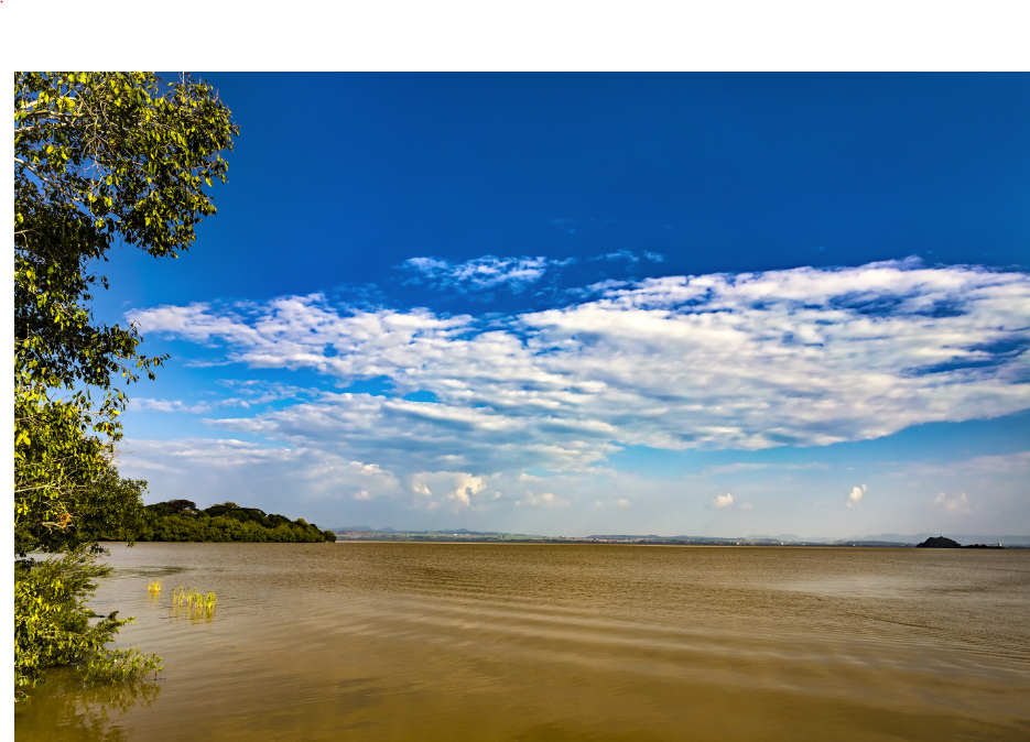 LAKE TANA